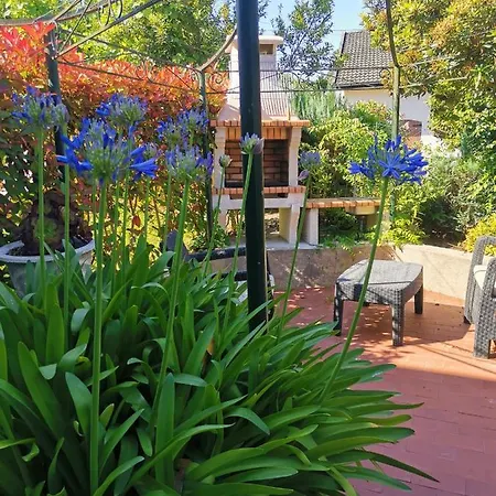 Apartman Casa Flores Ll *