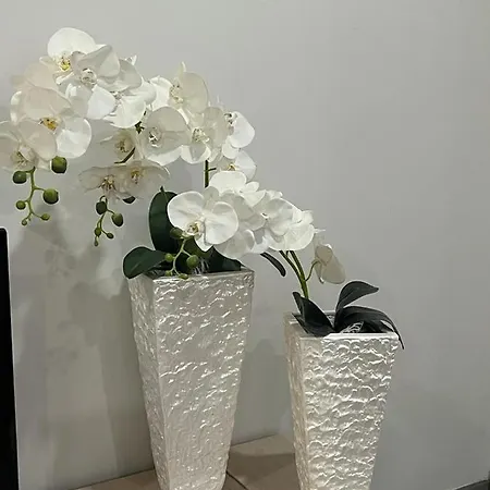 Casa Flores Ll * 帕雷迪什迪科拉