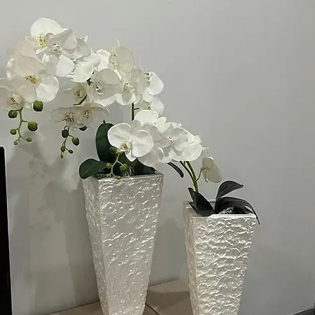 Casa Flores Ll * パレーデス・デ・コウラ