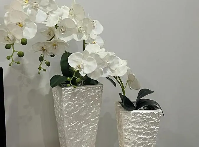 Casa Flores Ll * باريديس دي كورا